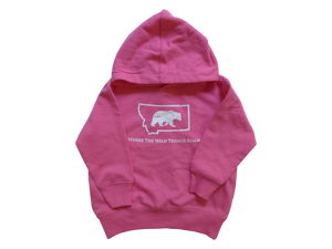 Toddler Pink Bear Hoodie