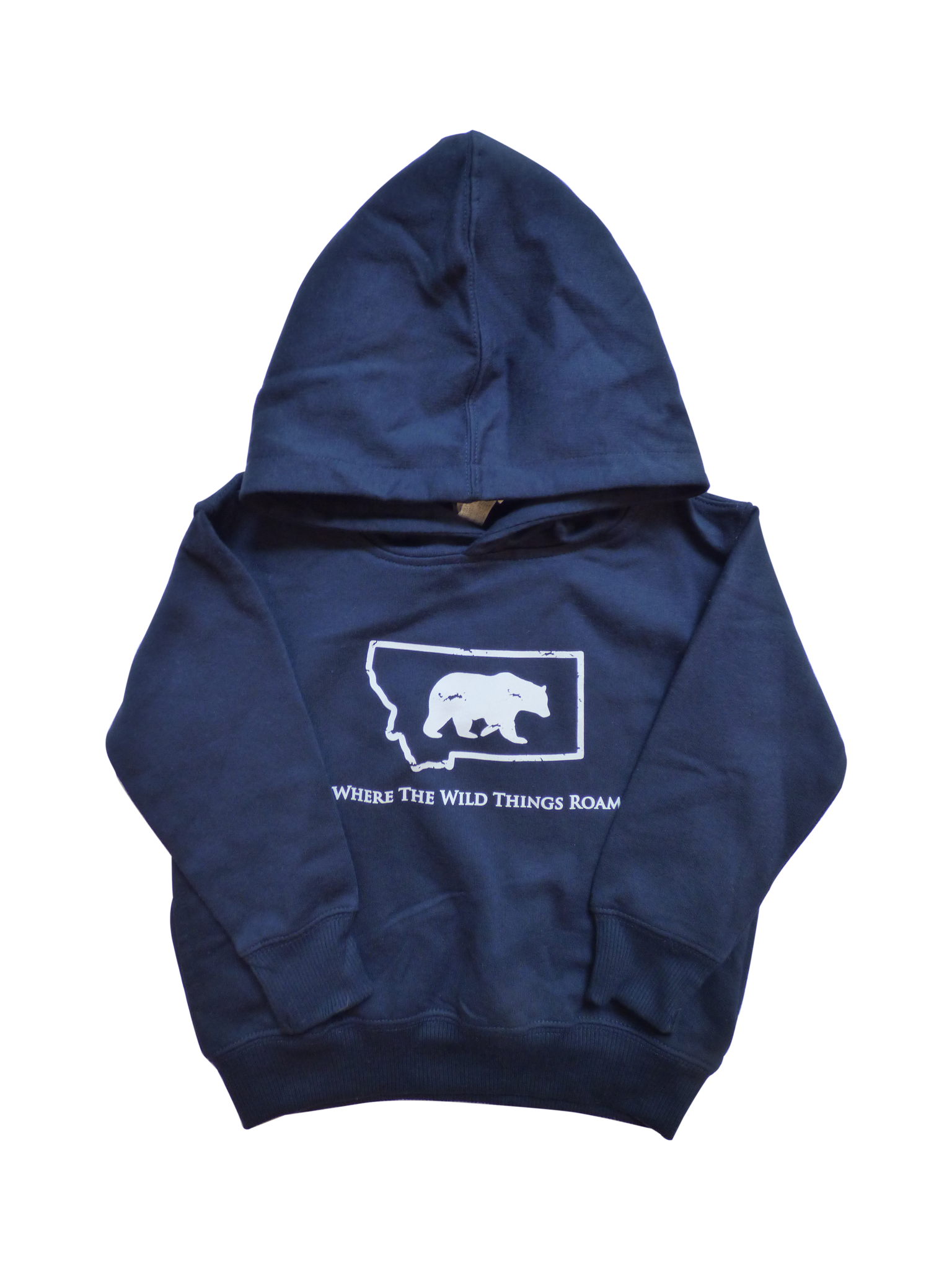 Toddler Navy Bear Hoodie