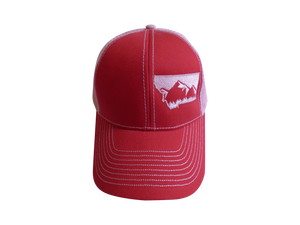 Low Profile Embroidered Mountain Hat Red and Pink