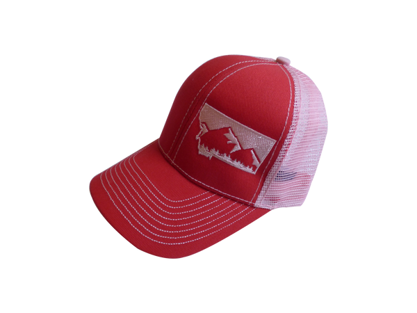 Low Profile Embroidered Mountain Hat Red and Pink