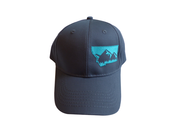 Youth Embroidered Grey with Teal Mountain Hat