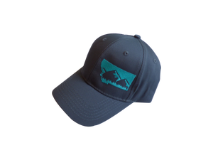Youth Embroidered Grey with Teal Mountain Hat