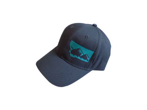 Youth Embroidered Grey with Teal Mountain Hat